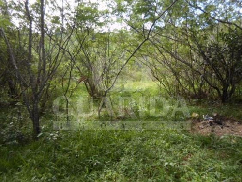 Imagem 7 de 8 de Sitio - Lami - Ref: 149462 - V-149462