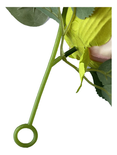 Flores De Peonía, Enredaderas Colgantes, Enredaderas, Flor