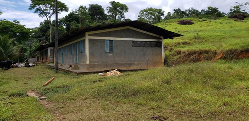 Imagem 9 de 15 de Fazenda Para Venda Em Mascote, Zona Rural - 494_1-1401563