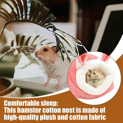 O, Chinchilla Casas Hámster Hámster Al Estilo Conejit