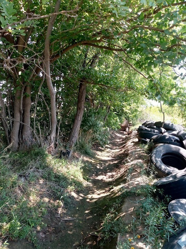 Imagen 18 de 25 de Venta De Finca 14 Ha En Producción - San Rafael Mendoza