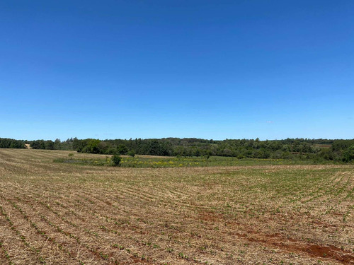 Imagen 5 de 16 de En Venta Parcela De 17 Hectáreas En Miranda