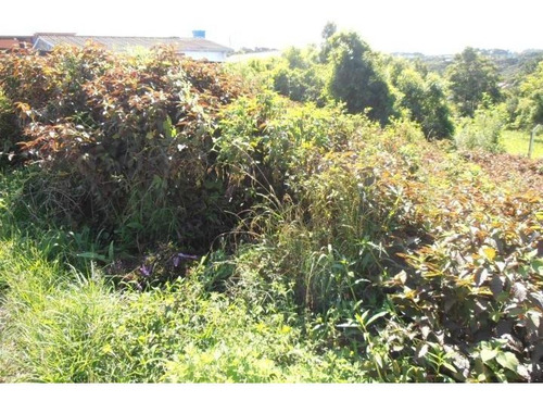 Imagem 9 de 15 de Terreno Para Venda Em Quatro Barras, Jardim Orestes Thá - Te-026_2-175650