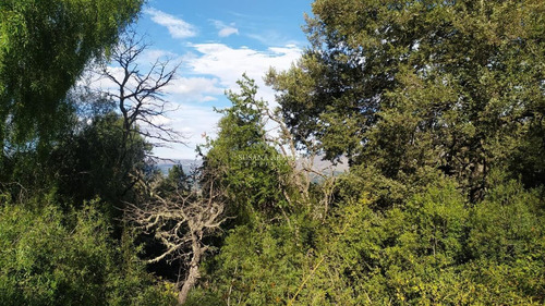 Imagen 4 de 13 de Terreno - San Martin De Los Andes
