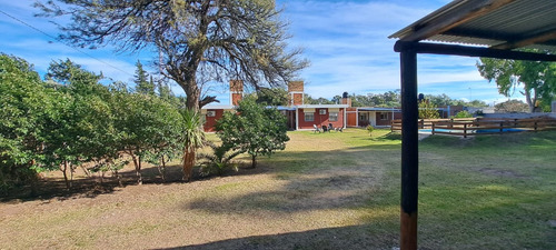 Imagen 20 de 26 de Venta Casas Departamentos Cabañas En Nogoli San Luis Lote Esquina De 1600 M2 Pileta Cocheras Parrilla Complejo Turístico Titular Oportunidad