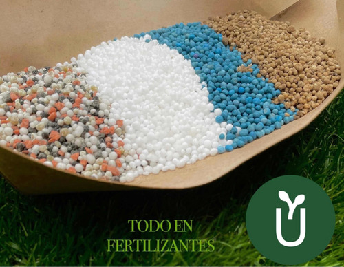 Imagen 7 de 8 de Urea Verde Liberación Lenta- Ideal Césped Planta Verdes 10kg