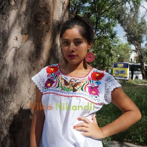 Blusas Tricolores Mexicanas Mes Patrio en venta en Santa Cruz Xoxocotlan  Oaxaca por sólo $   Mexico