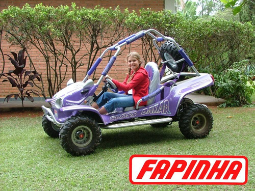 Mini Buggy - Gaiolinha Gaiola- Mini Bugg - Buguinho Fapinha