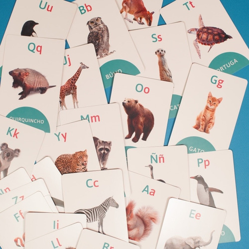 Combo De Libros Y Cartas Para Aprender A Leer Y Escribir