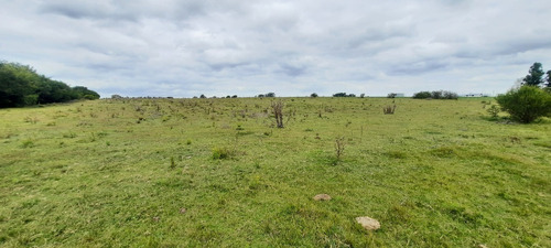 Vendo Chacras Financiadas 3 Y 4 Hectáreas Ruta 36 Km 30