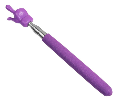 Puntero De Mano Universal Cute Classroom Pointer Violeta