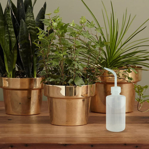 Botella D Riego Para Plantas Suculentas De 250 Ml (embalaje)