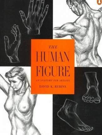 Rubins David K. : Human Figure - David K Rubins