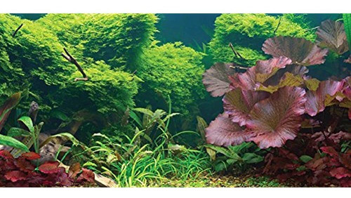 Sporn Aquarium Background Estatica Cling Tropical 24 X 12