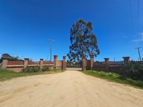 Hermosas Parcelas En Algarrobo Norte, Parcelación Terramar 