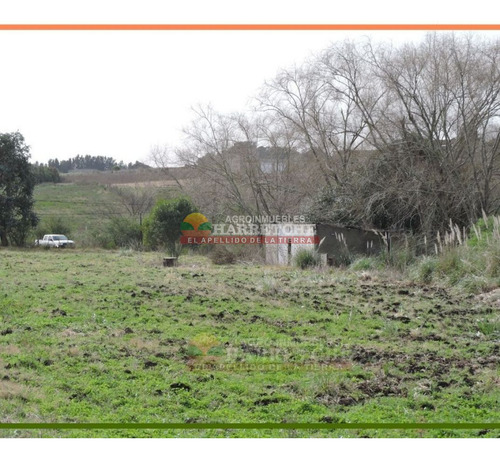 Imagen 8 de 18 de Chacra 3 Has En Venta, Melilla, Cerca De La Uam