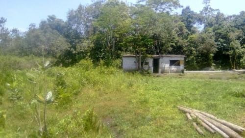 Imagem 1 de 6 de Chácara Litoral Sul Ideal P/ Pesqueiro- Ref.6128/dz
