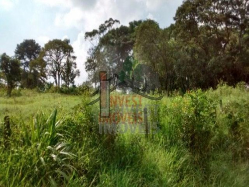 Imagem 3 de 7 de Cód 1276 - Terreno De 2000 M², De Frente Para O Asfalto . - 1276