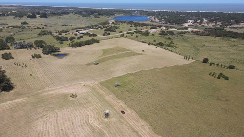 Imagen 15 de 30 de Chacra En Venta, Fraccion De 20 Has En Jose Ignacio (ref: Atm-6766)