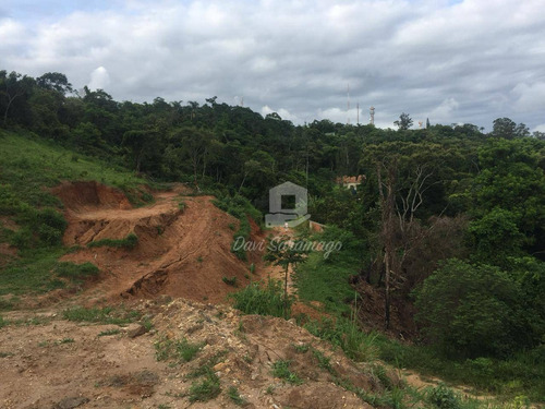 Imagem 14 de 22 de Terreno Amplo Para Desenvolvimento Imobiliário. - Te0019