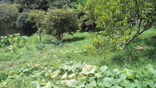 Chácara Residencial À Venda, Terra Preta, Mairiporã. - Ch0006