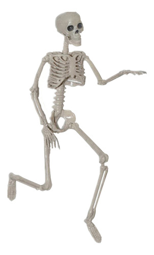 Esqueleto Del Cuerpo Esqueleto Humano Alto 36,5cm 
