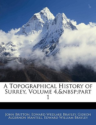 Libro A Topographical History Of Surrey, Volume 4, Part 1...