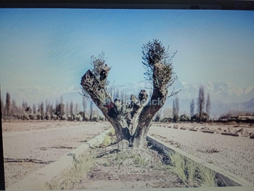 Terreno En Lujan