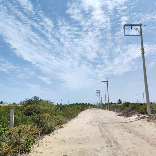 Imagen 13 de 24 de Terreno En Playa Chicxulub En Venta. Con Acceso A La Playa