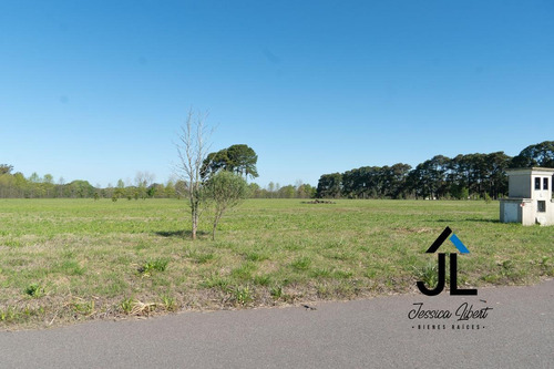 Imagen 13 de 15 de Oportunidad Venta De Dos Lotes Juntos En E1 De Pinares Cc