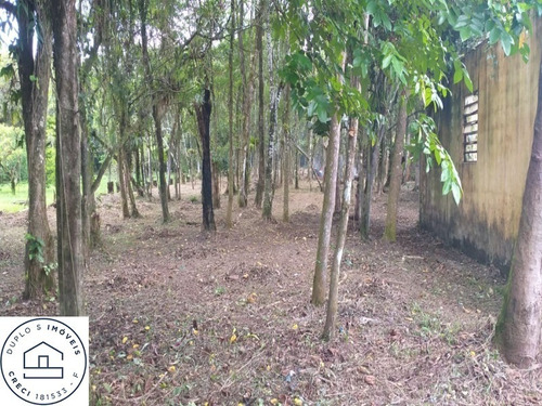 Imagem 3 de 10 de Terreno Em Área De Chácara , Em Itanhaém , Bairro Jd Aguapeu , Lado Morro. - 6531 - 69937470