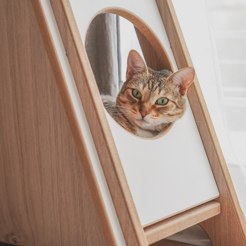 Imagen 7 de 10 de Rascador Para Gatos ¡diseño Exclusivo! - Incluye Almohadón
