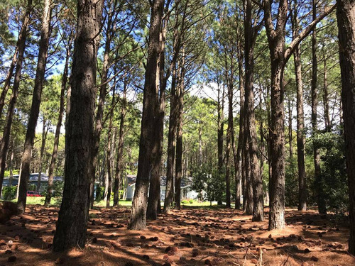 Terreno / Lote En Venta De 899m2 Ubicado En Frontera