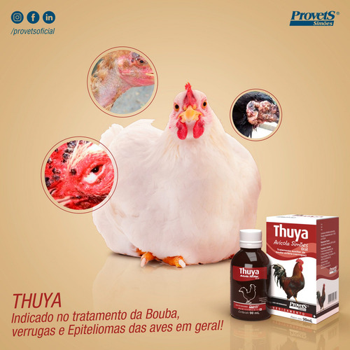 Thuya Avícola 150ml - Simões Cor Ver
