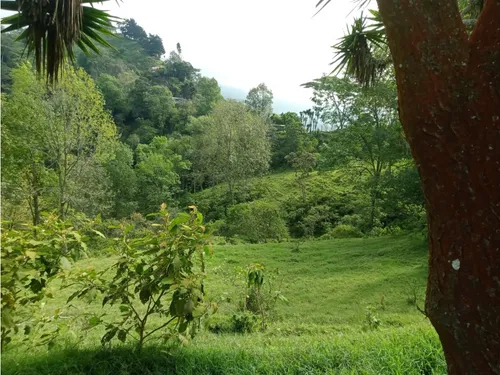 Vendo Finca Reventones Anolaima