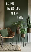 Comprar Vinilos Decorativos Vinil Pared Frases Letras Haz Más De Eso