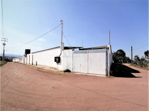 Rancho En Acatlán, Hidalgo (producción Ganadera Y De Queso).