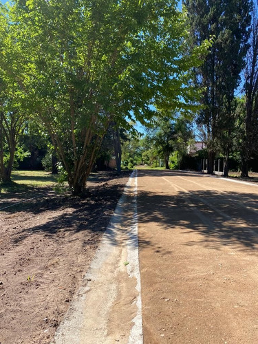 Imagen 11 de 12 de Terreno En Venta En Tortuguitas