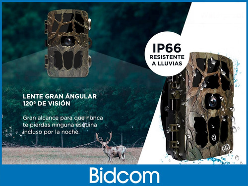 Imagen 6 de 10 de Camara Deportiva Gadnic Caza 4k Activacion X Movimiento Foto