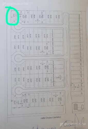 Imagen 6 de 6 de Terreno - Nuevo Pilar