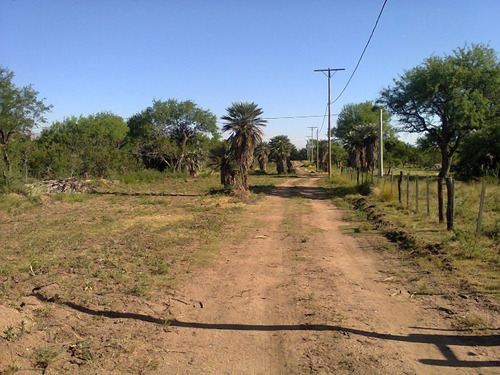 Vendo Terrenos 