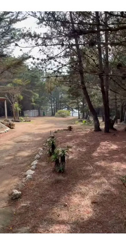 Oportunidad Terreno En Laguna Verde