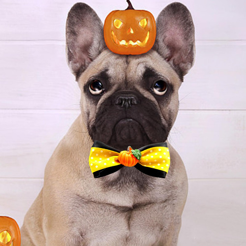 2 Collar De Gato, Collar De Otoño, Halloween, Estilo G