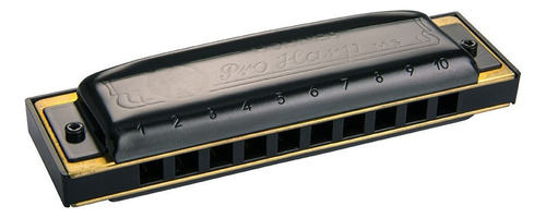 Armónica Hohner Pro Harp - En G