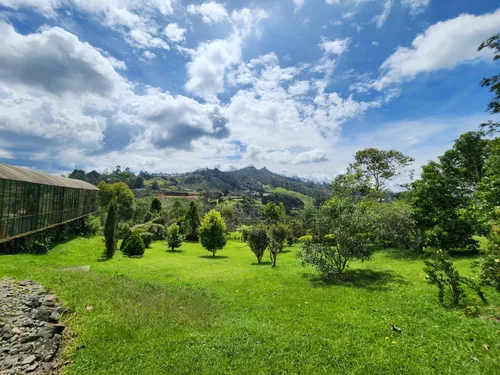 Finca En Venta En Pontezuela. Cod V11901