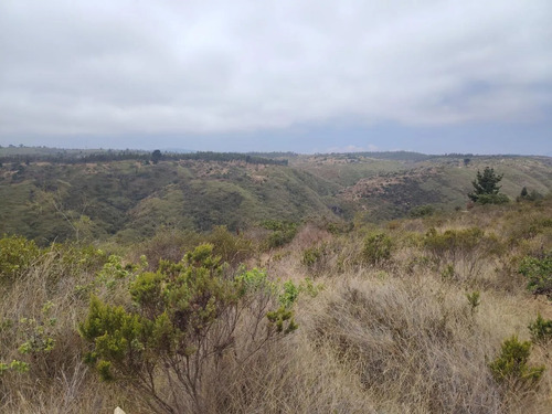 Inversión Segura Parcela 5042 M2 Con Vistas Y Pozo Propio