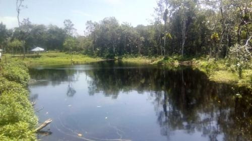 Imagem 9 de 11 de Chácara Na Praia! Com Área De 10mil M². Galinheiro, Tanque
