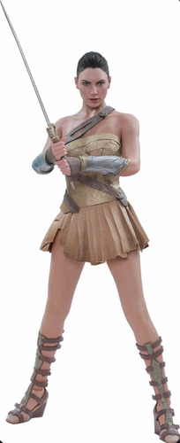 Wonder Woman Training Armor 1/6 Dc Hot Toys Nuevo Gal Gadot