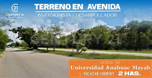 Terreno Sobre Carretera Mérida Dzibilchaltun Cerca Del Yucatan Country Club.