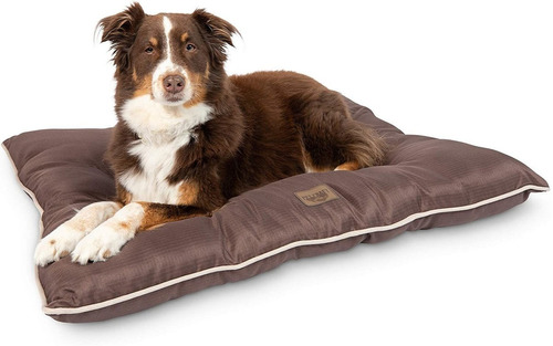 Pet Craft Supply Super Snoozer Calmante Interior / Exterior 